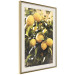 Wall Poster Italian Citrus - composition with yellow lemons against green plants 135894 additionalThumb 18