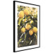 Wall Poster Italian Citrus - composition with yellow lemons against green plants 135894 additionalThumb 21