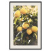 Wall Poster Italian Citrus - composition with yellow lemons against green plants 135894 additionalThumb 3