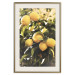 Wall Poster Italian Citrus - composition with yellow lemons against green plants 135894 additionalThumb 2