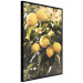 Wall Poster Italian Citrus - composition with yellow lemons against green plants 135894 additionalThumb 23