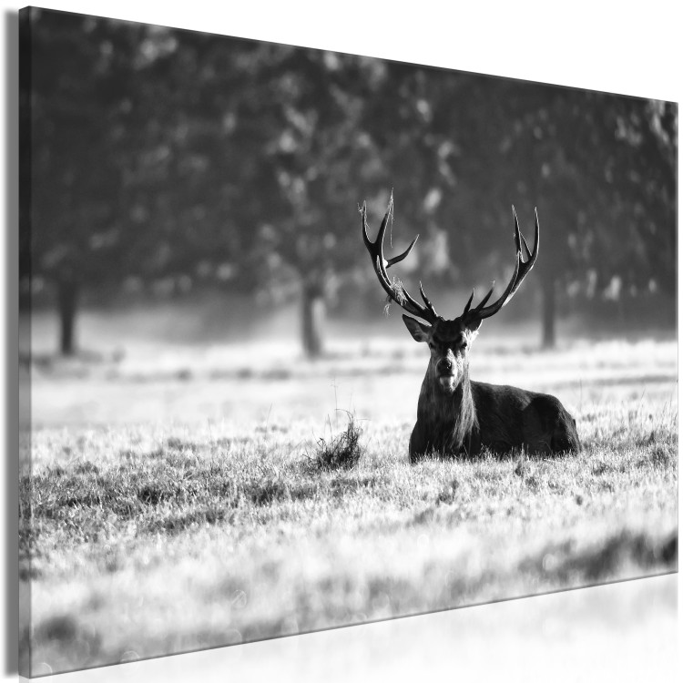 Large canvas print Lying Deer [Large Format] 137594 additionalImage 3