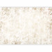 Photo Wallpaper Texture Variety - Beige Background With Abstract Stains 145294 additionalThumb 1