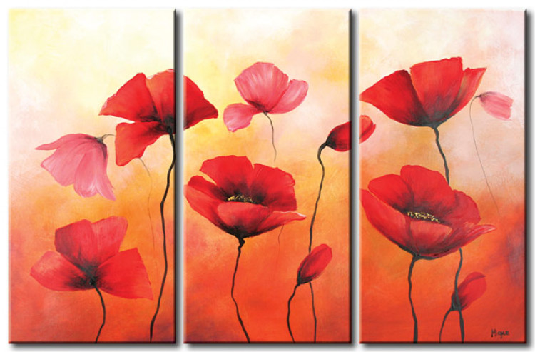 Canvas Print Poppies 48594