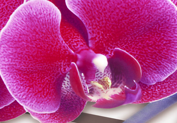 Canvas Print Orchid on a subdued background 55594 additionalImage 4