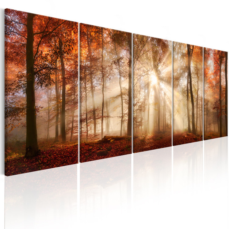 Canvas Late Autumn (5-piece) - Autumn Sun Against Forest Landscape 98594 additionalImage 2