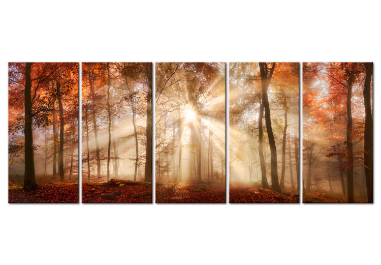 Canvas Late Autumn (5-piece) - Autumn Sun Against Forest Landscape 98594