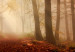 Canvas Late Autumn (5-piece) - Autumn Sun Against Forest Landscape 98594 additionalThumb 4