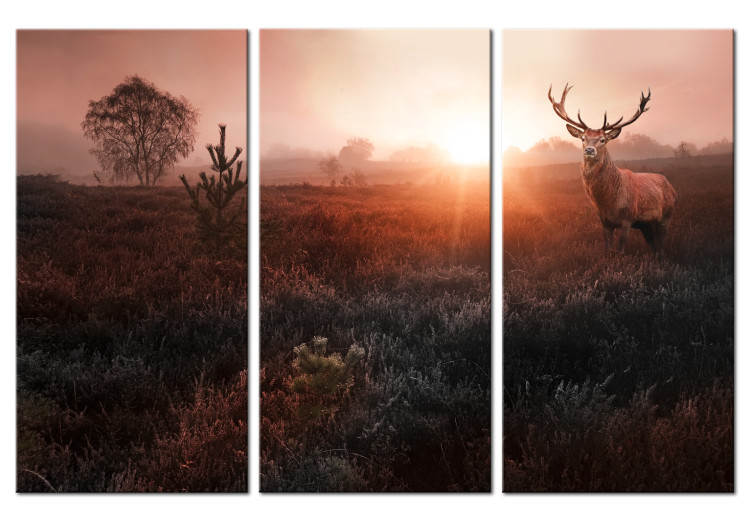 Canvas Art Print Deer in Sunlight (3-piece) - Red Landscape with Trees in Background 106105