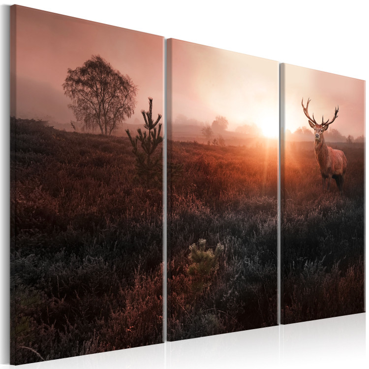 Canvas Art Print Deer in Sunlight (3-piece) - Red Landscape with Trees in Background 106105 additionalImage 2