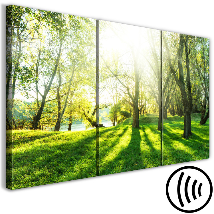 Canvas Green Glade (3 Parts) 122205 additionalImage 6