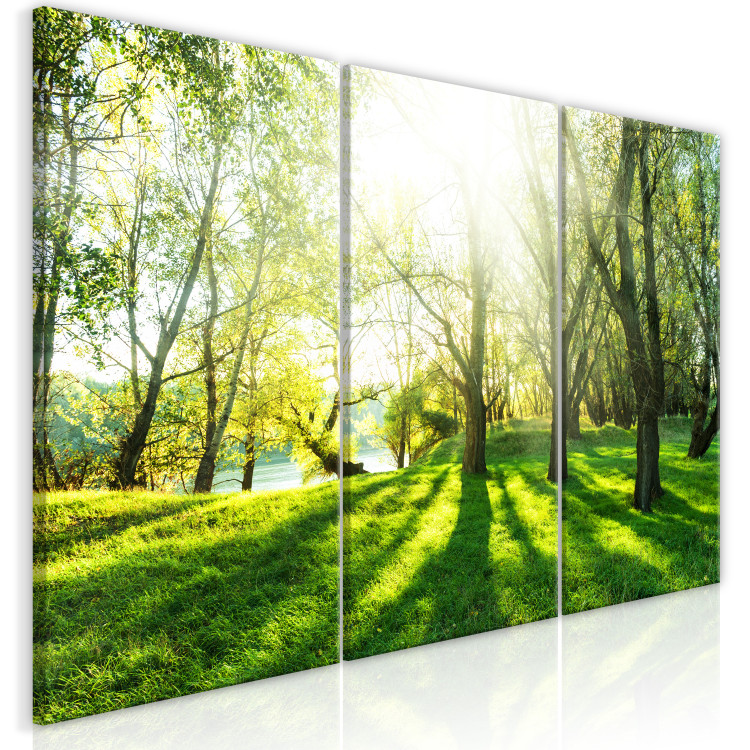 Canvas Green Glade (3 Parts) 122205 additionalImage 2