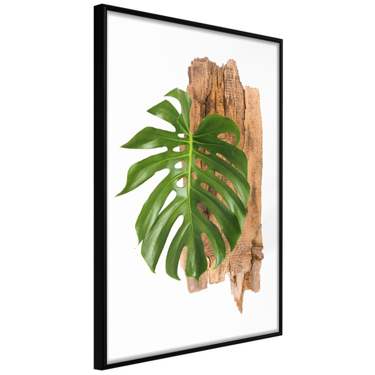 Wall art collection Wildlife 124909 additionalImage 3