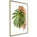 Wall Poster Force of Nature - green leaf and wooden piece of bark on a white background 122605 additionalThumb 12