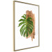 Wall Poster Force of Nature - green leaf and wooden piece of bark on a white background 122605 additionalThumb 6