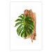 Wall Poster Force of Nature - green leaf and wooden piece of bark on a white background 122605 additionalThumb 19