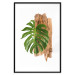 Wall Poster Force of Nature - green leaf and wooden piece of bark on a white background 122605 additionalThumb 15