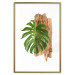 Wall Poster Force of Nature - green leaf and wooden piece of bark on a white background 122605 additionalThumb 14