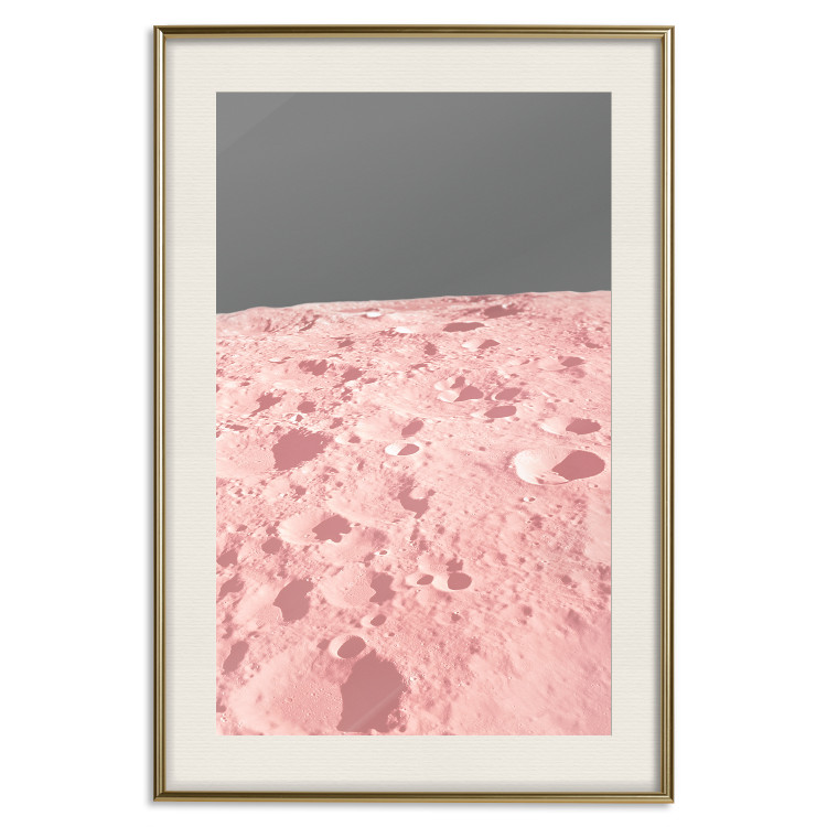 Poster Pink Moon - moon texture on a solid gray background 123205 additionalImage 19
