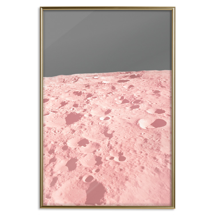 Poster Pink Moon - moon texture on a solid gray background 123205 additionalImage 20