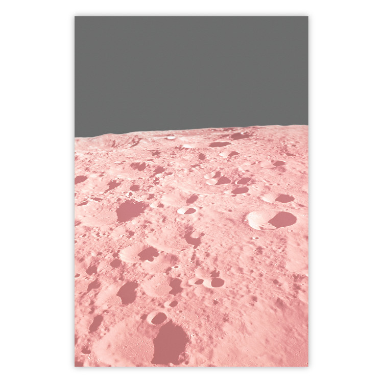 Poster Pink Moon - moon texture on a solid gray background 123205