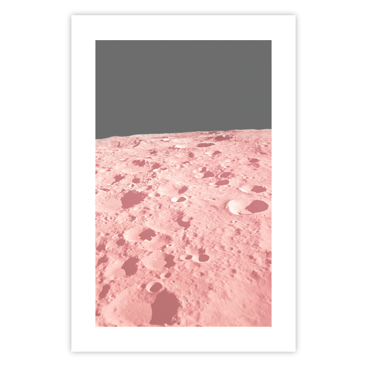Poster Pink Moon - moon texture on a solid gray background 123205 additionalImage 25