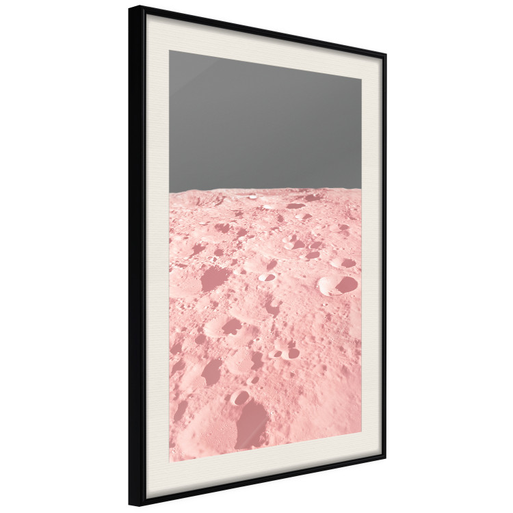 Poster Pink Moon - moon texture on a solid gray background 123205 additionalImage 9