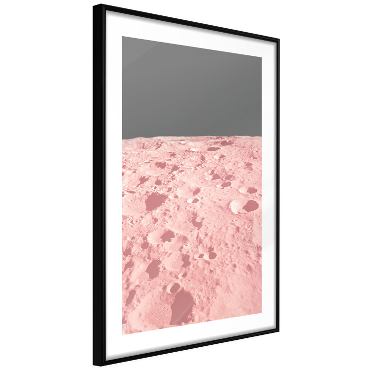 Poster Pink Moon - moon texture on a solid gray background 123205 additionalImage 14