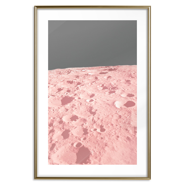 Poster Pink Moon - moon texture on a solid gray background 123205 additionalImage 16