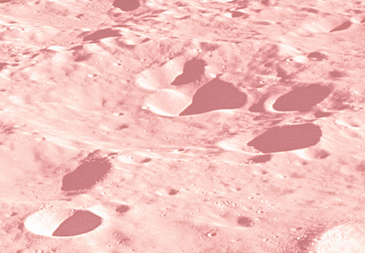 Poster Pink Moon - moon texture on a solid gray background 123205 additionalImage 4