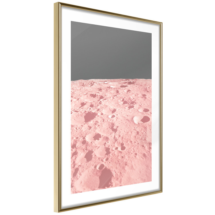 Poster Pink Moon - moon texture on a solid gray background 123205 additionalImage 9