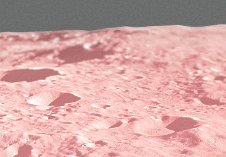 Poster Pink Moon - moon texture on a solid gray background 123205 additionalImage 2