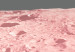 Poster Pink Moon - moon texture on a solid gray background 123205 additionalThumb 2