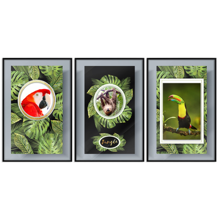Wall gallery pictures Jungle Animals  125205 additionalImage 1