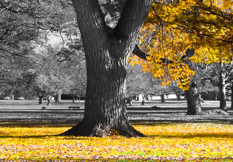 Large canvas print Autumn in the Park (Gold) II [Large Format] 125605 additionalImage 4