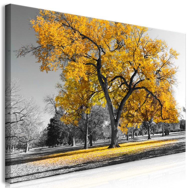 Large canvas print Autumn in the Park (Gold) II [Large Format] 125605 additionalImage 3