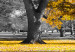 Large canvas print Autumn in the Park (Gold) II [Large Format] 125605 additionalThumb 4