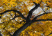 Large canvas print Autumn in the Park (Gold) II [Large Format] 125605 additionalThumb 5