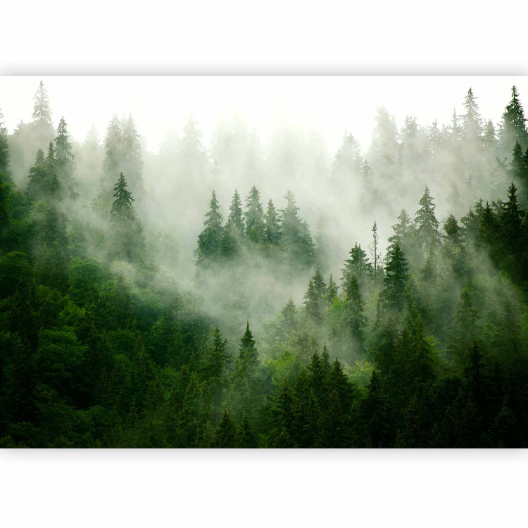 Photo Wallpaper Mountain Forest (Green) 126805 additionalImage 5