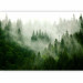 Photo Wallpaper Mountain Forest (Green) 126805 additionalThumb 5