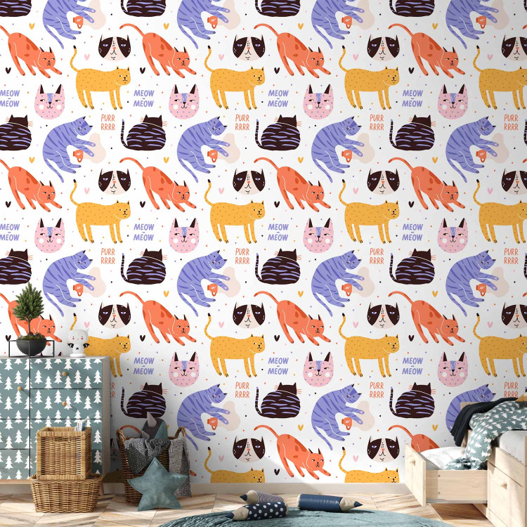 Modern Wallpaper Cat Behaviors 126905