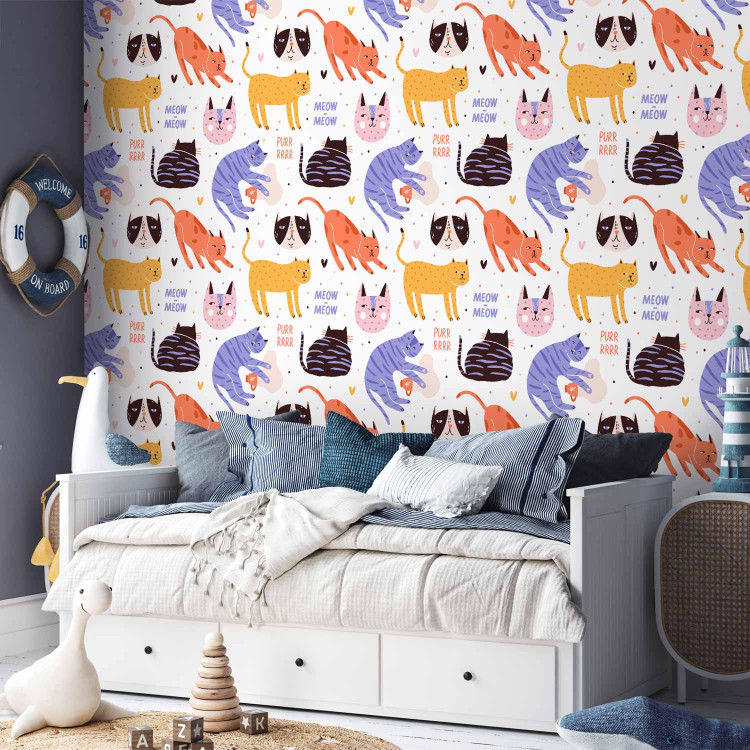Modern Wallpaper Cat Behaviors 126905 additionalImage 4