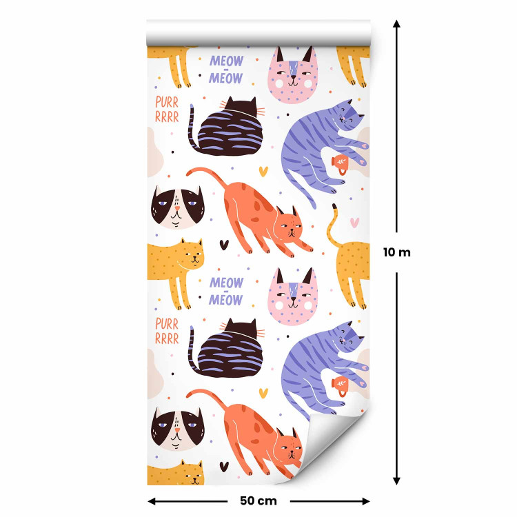Modern Wallpaper Cat Behaviors 126905 additionalImage 2