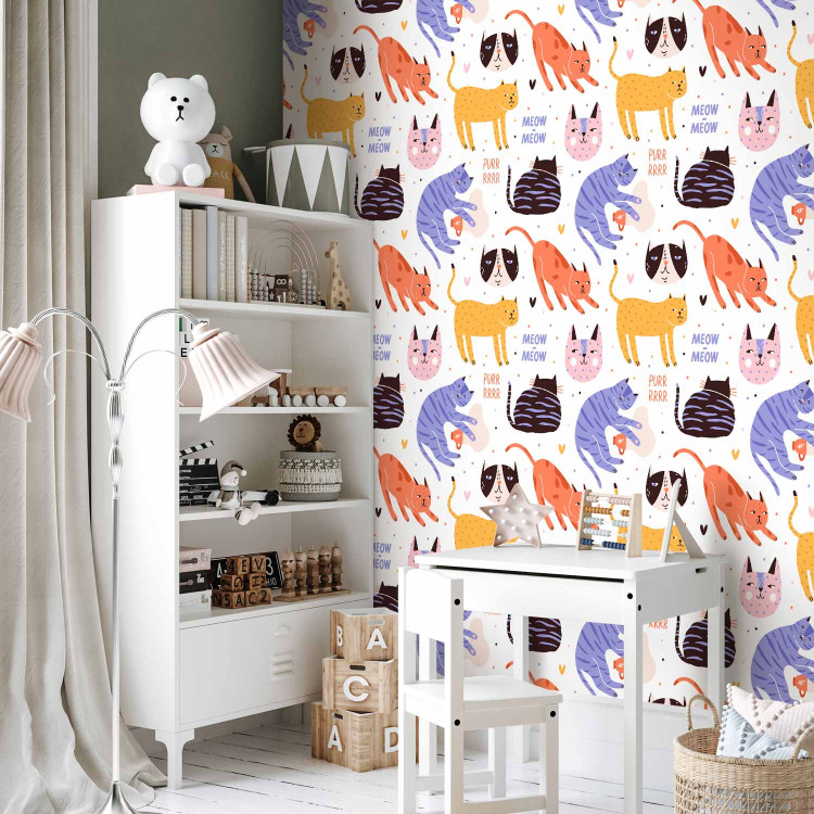 Modern Wallpaper Cat Behaviors 126905 additionalImage 10