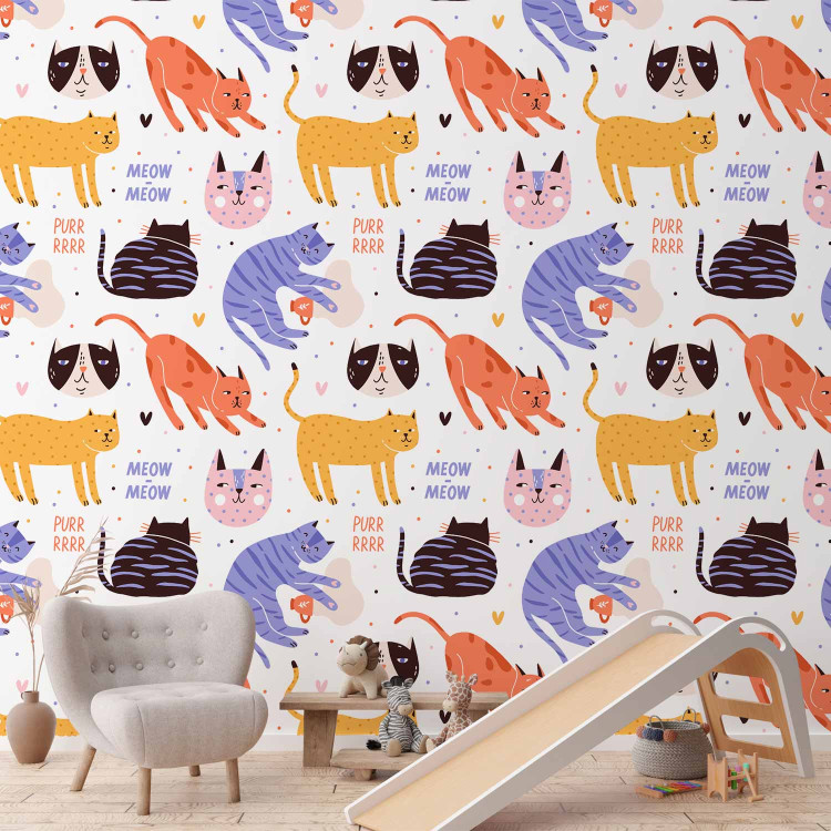 Modern Wallpaper Cat Behaviors 126905 additionalImage 8