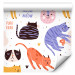 Modern Wallpaper Cat Behaviors 126905 additionalThumb 1