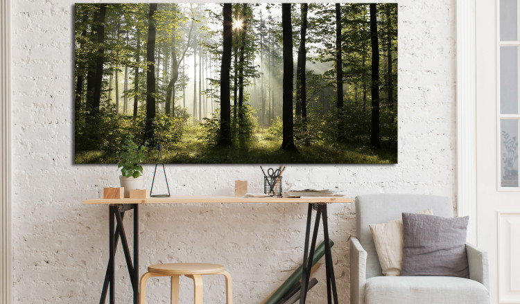 Large canvas print Forest: Beautiful Morning II [Large Format] 128905 additionalImage 6