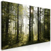 Large canvas print Forest: Beautiful Morning II [Large Format] 128905 additionalThumb 3