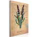 Canvas Print Lavender Memory (1-part) vertical - lavender in vintage style 129405 additionalThumb 2