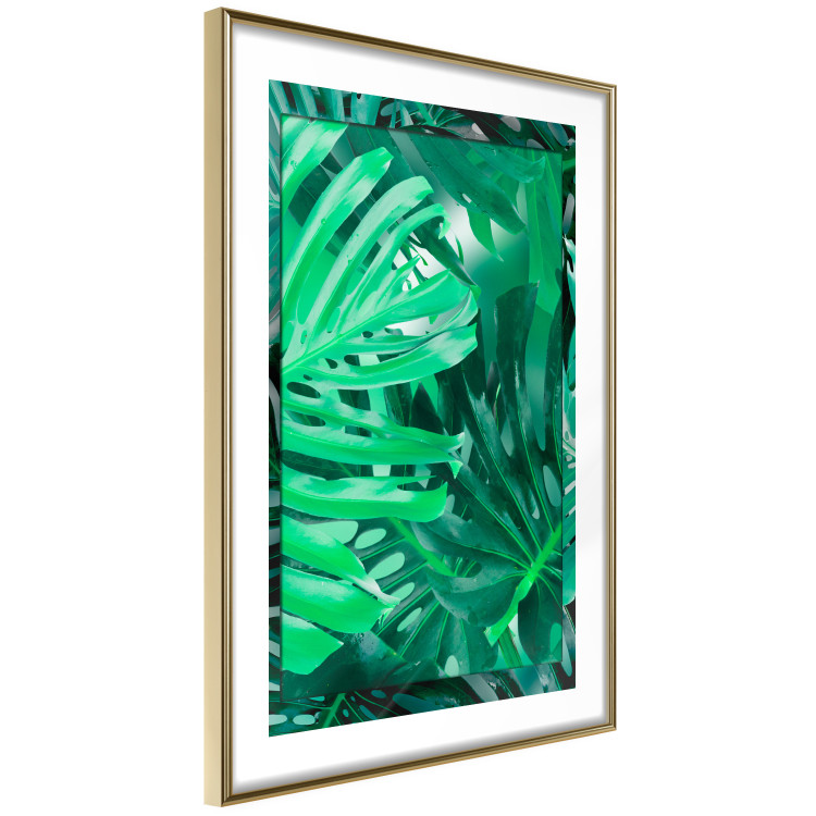 Wall Poster Jungle Depth - greenish composition of leaves from the tropical jungle 134505 additionalImage 11